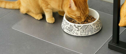 vloerbescherming kattenbrokken